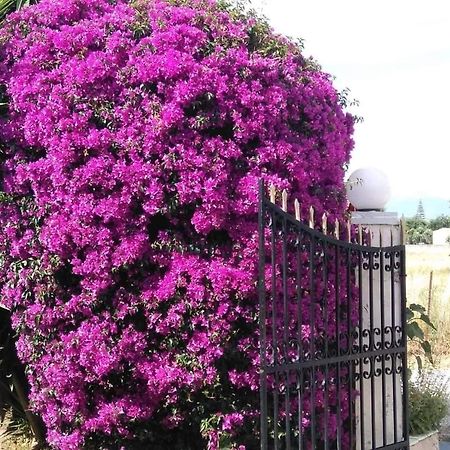 Hellens Village Almiros Beach エクステリア 写真